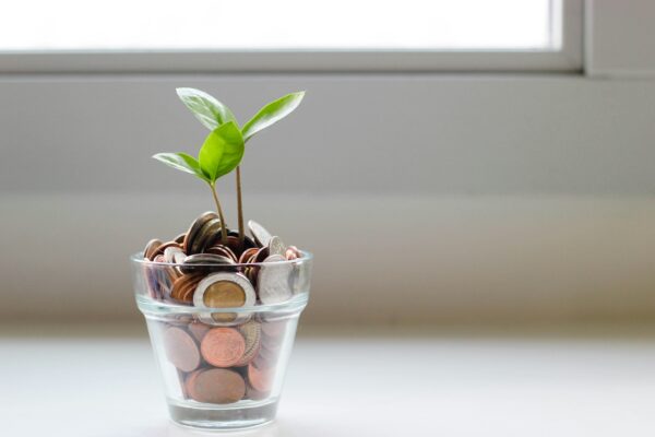 green plant in clear glass full of coins