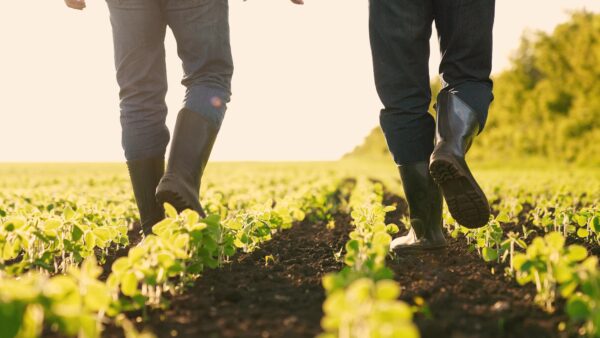 From the waist down, a shot of two people wearing boots walking through a field