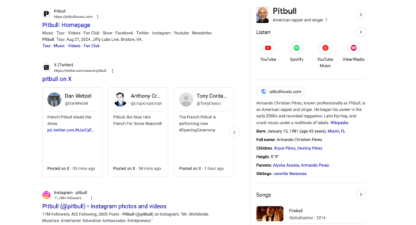 A screenshot of the search results of Pitbull the recording artist