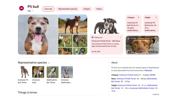 A screenshot of the search results for the pit bull breed of dog