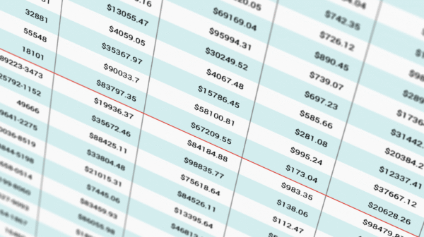 closeup view of rows of spreadsheet data displayed on a screen