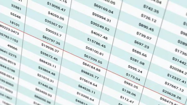 closeup view of rows of spreadsheet data displayed on a screen