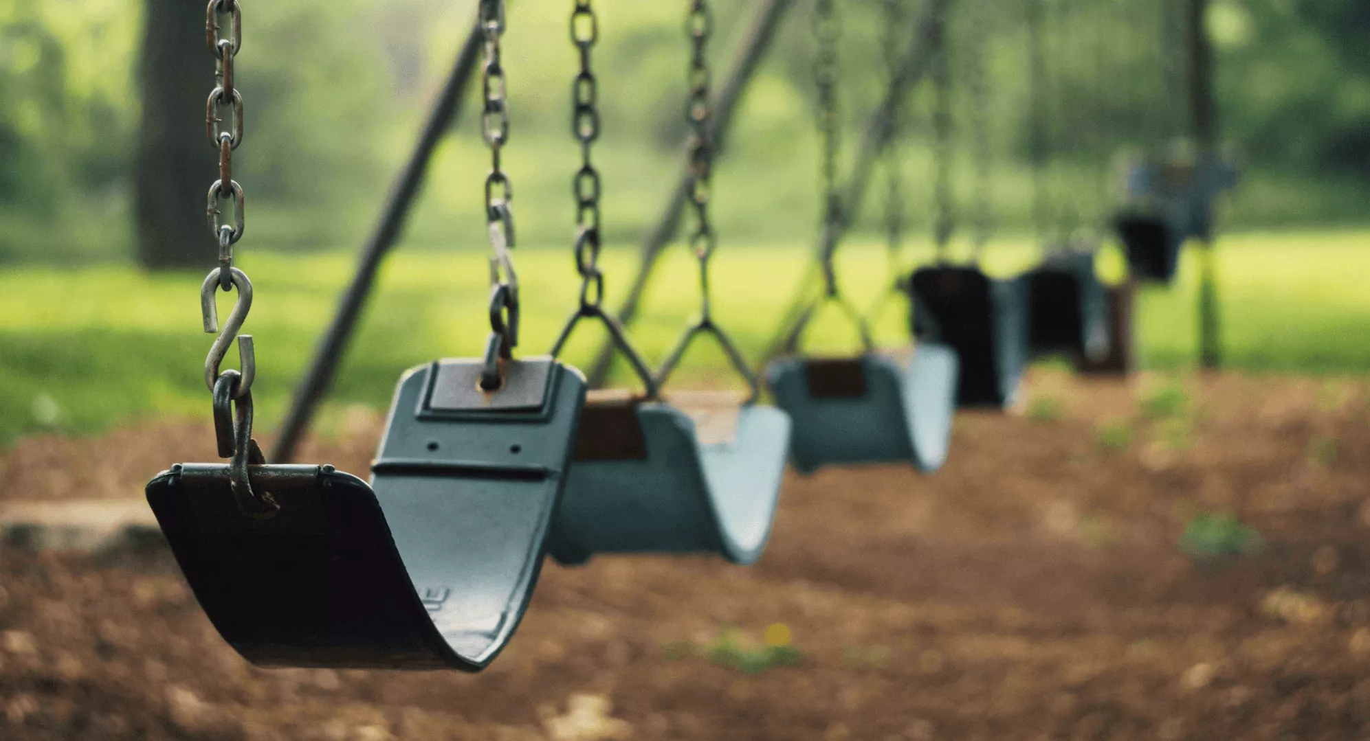 closeup of swings in a verdant park